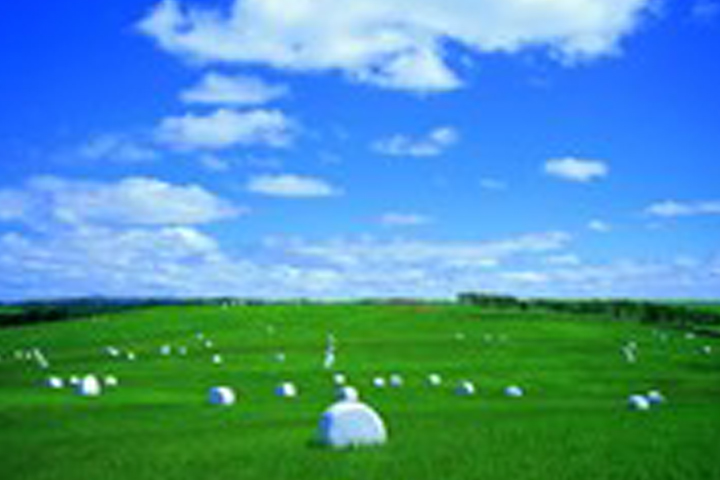 大規模草地牧場展望台｜シーニックデッキ・シーニックカフェ【公式サイト】