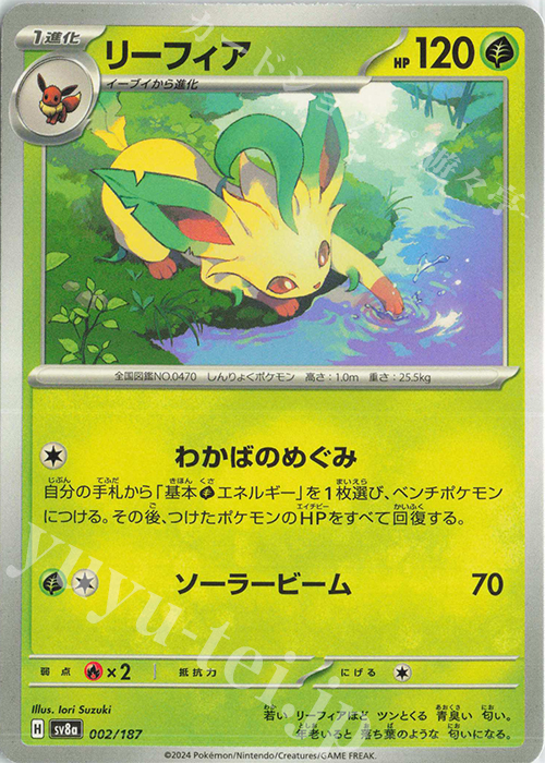 リーフィア 販売 | [SV8a] ハイクラスパック テラスタルフェスex