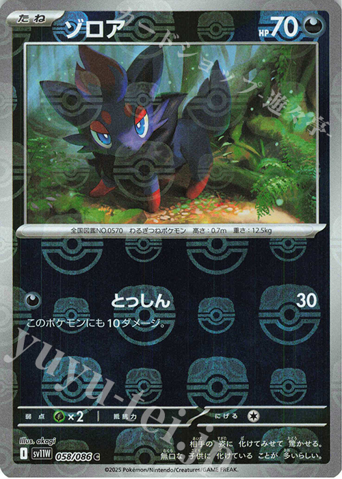 C ゾロア(マスターボール柄/ミラー仕様) 買取 | [SV11W] 拡張パック