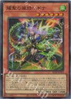 UL 調和ノ天救竜 販売 | [BLZD] BLAZING DOMINION | 遊戯王 OCG通販