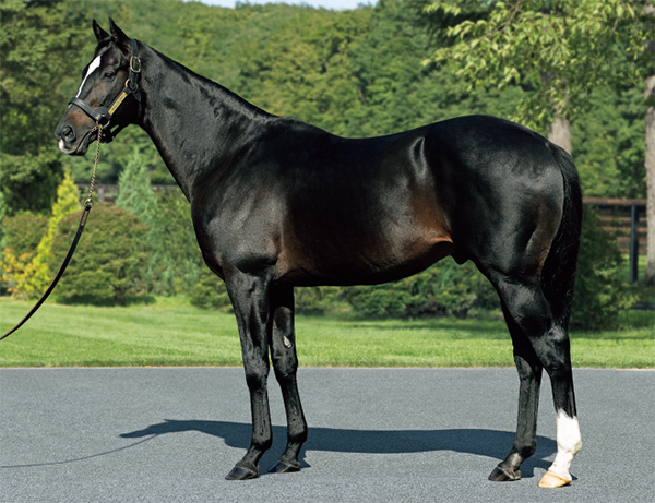 キャロットクラブ -CARROT CLUB-