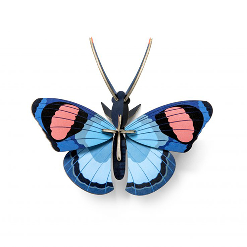 クジャク蝶 studio ROOF PLAY Department Store