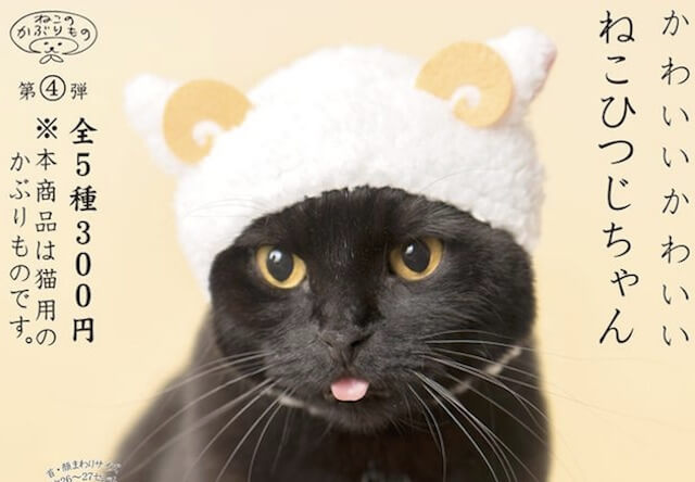 猫がウサギになれる「ねこうさぎ」300円のカプセルトイで登場 | Cat Press