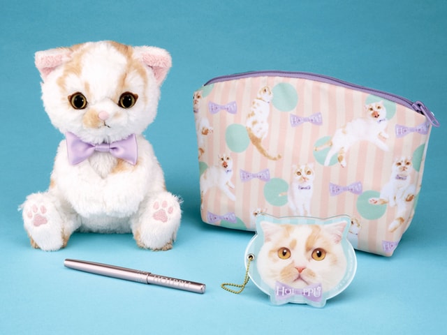 ちくわ柄の人気猫「ホイップ」のぬいぐるみがタカラトミーから発売され
