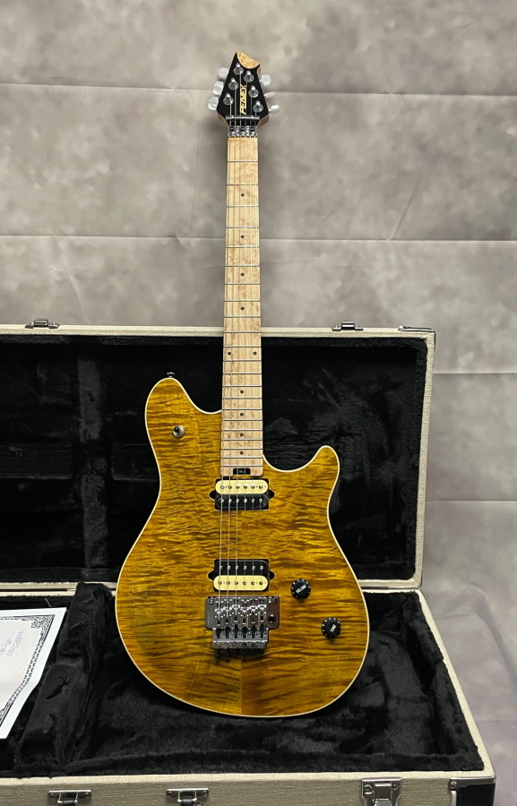 8th Street Music - Peavey HP2 TigerEye