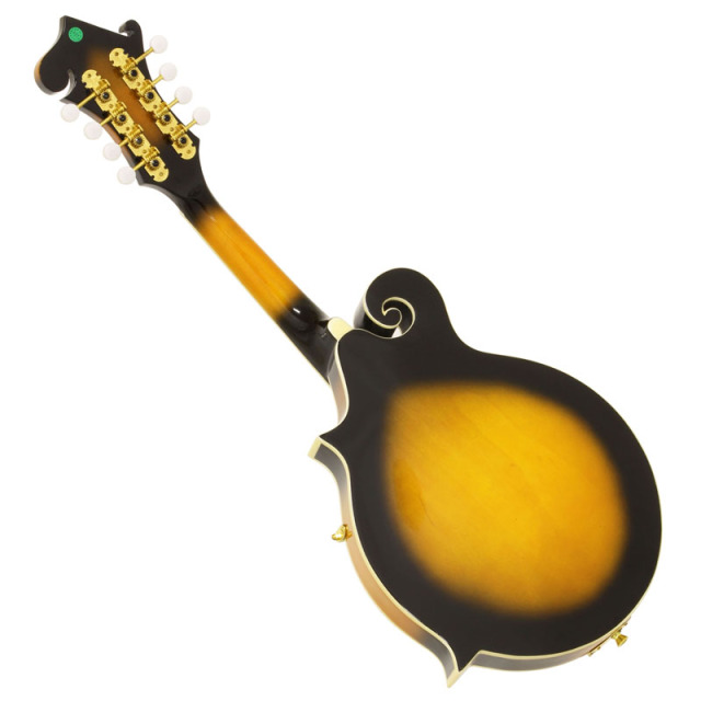 Aria AM-40 Mandolin マイク搭載!! アンプに繋げる アリア マンドリン