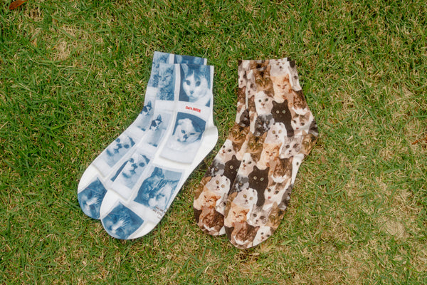 Cat's ISSUE × ACME Furniture“ACME FRESNO SOFA FOR CAT'S ISSUE