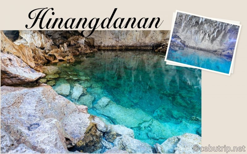 ボホール島観光ガイド｜フィリピンの自然と冒険の楽園ボホールTRIP