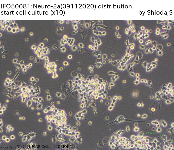 Detailed Information [IFO50081]-