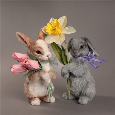 R John Wright - Daffodil