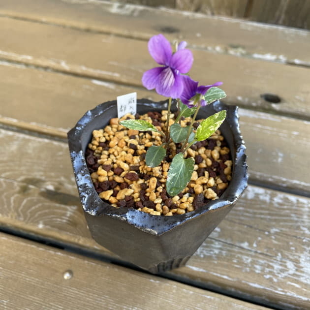 N/OH (ノウ)の植木鉢｜ビームス 辻堂｜BEAMS