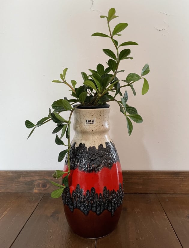 FAT LAVA(ファットラヴァ)って知ってる？｜藤尾 洸喜｜BEAMS