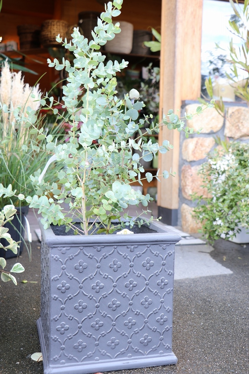 グリーンプラザ山長は、ローラアシュレイ Laura Ashley 植木鉢コンテナ