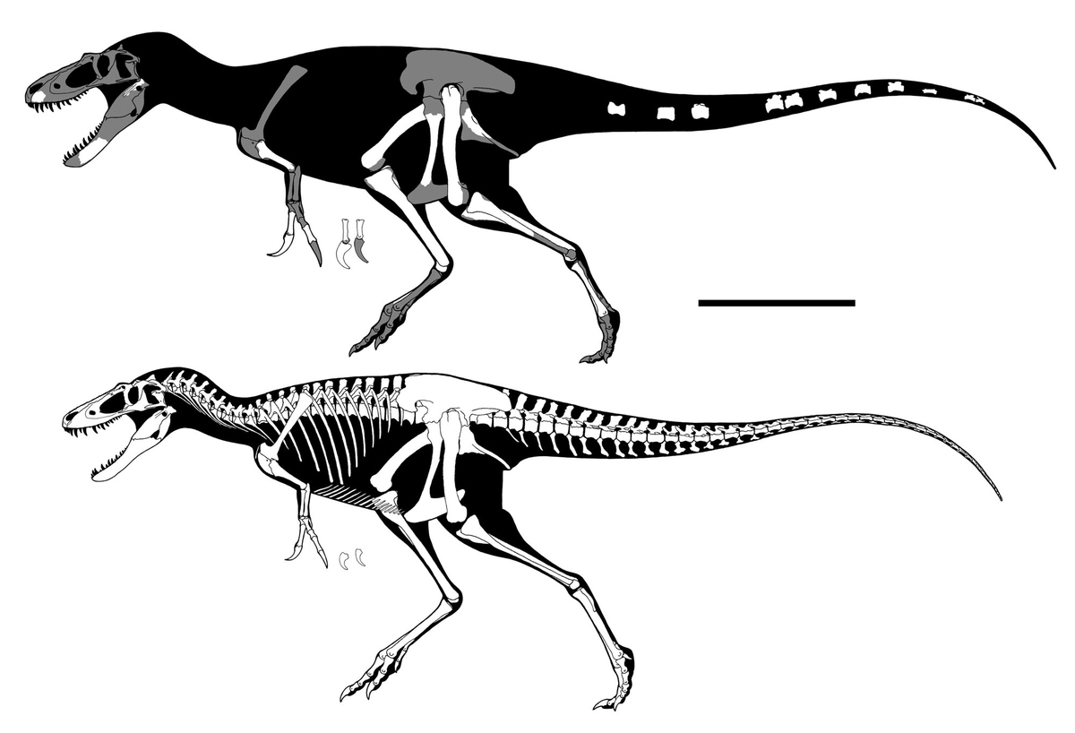 WISの果てに - GET AWAY TRIKE !