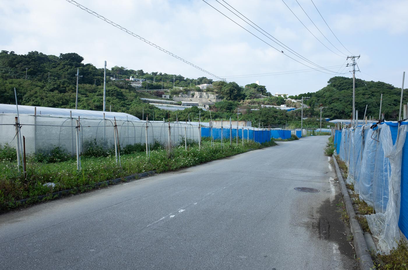 南城市 - 沖縄島の写真