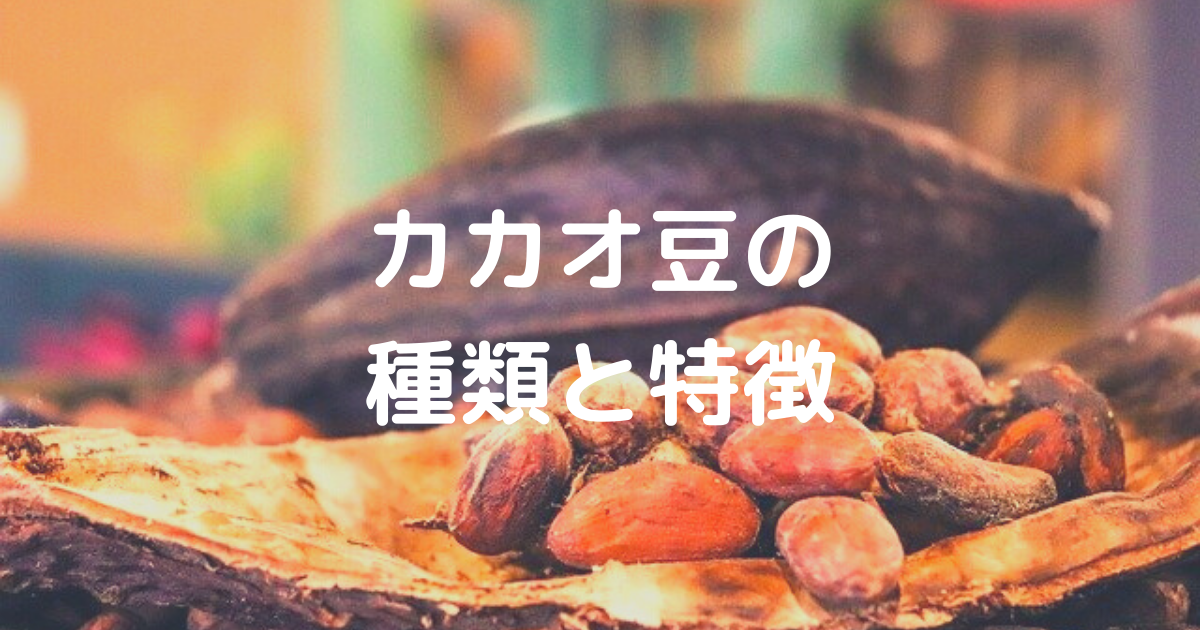 カカオ豆の種類と特徴について - ショコラの読み物