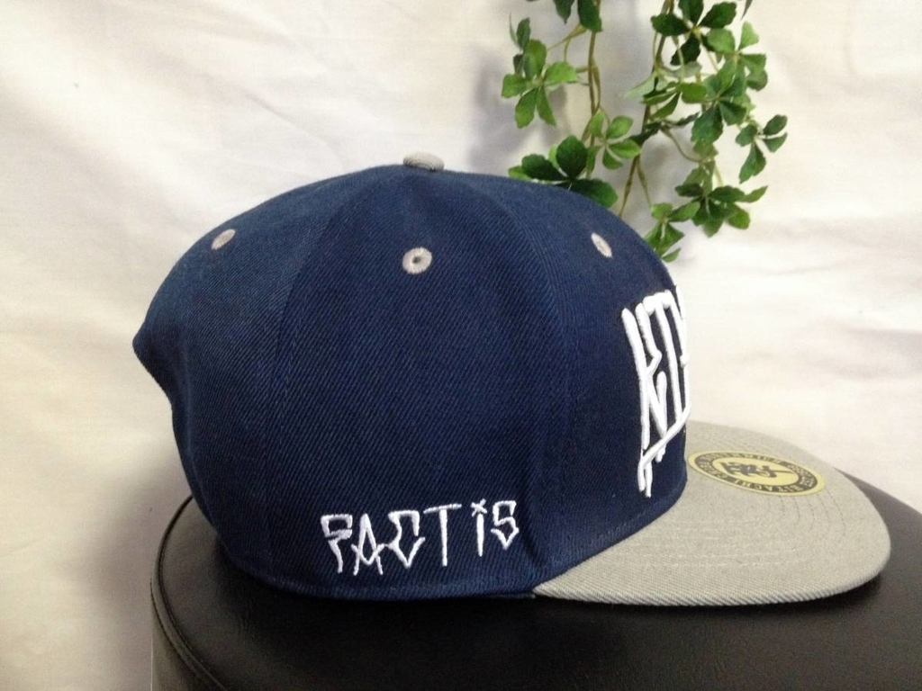 未使用品・FACT ファクト【KTHEAT TOUR 2015】・グレー×紺・スナップ