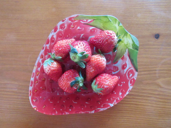 苺の断面図】とちおとめ - わたなべまこのこと