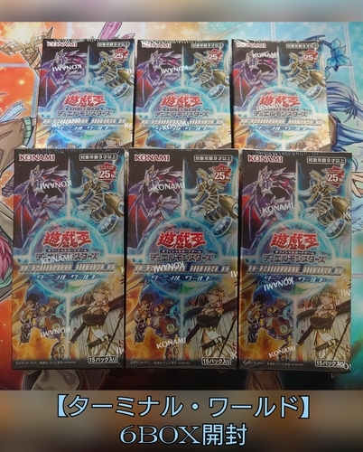 ターミナル・ワールド/TERMINAL WORLD】の開封結果・封入率を紹介