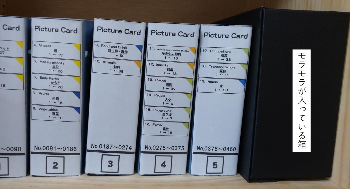 ペッピーキッズ英語教材】モラモラ本体もピクチャーカードと一緒に本棚