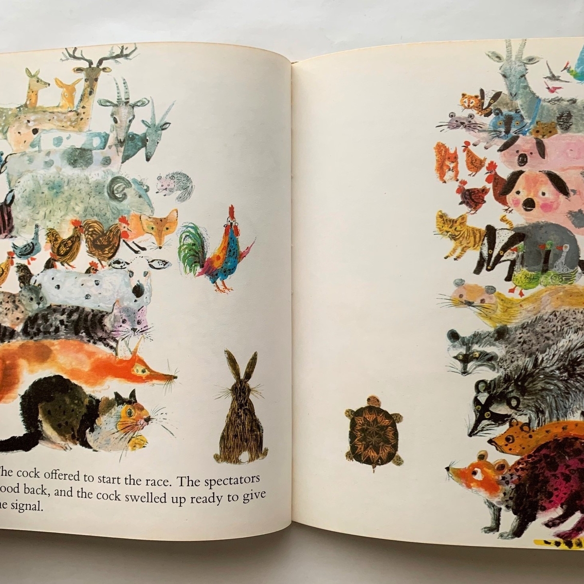 うさぎとかめ / ブライアン・ワイルドスミス - 本まるさんかくしかく Blog