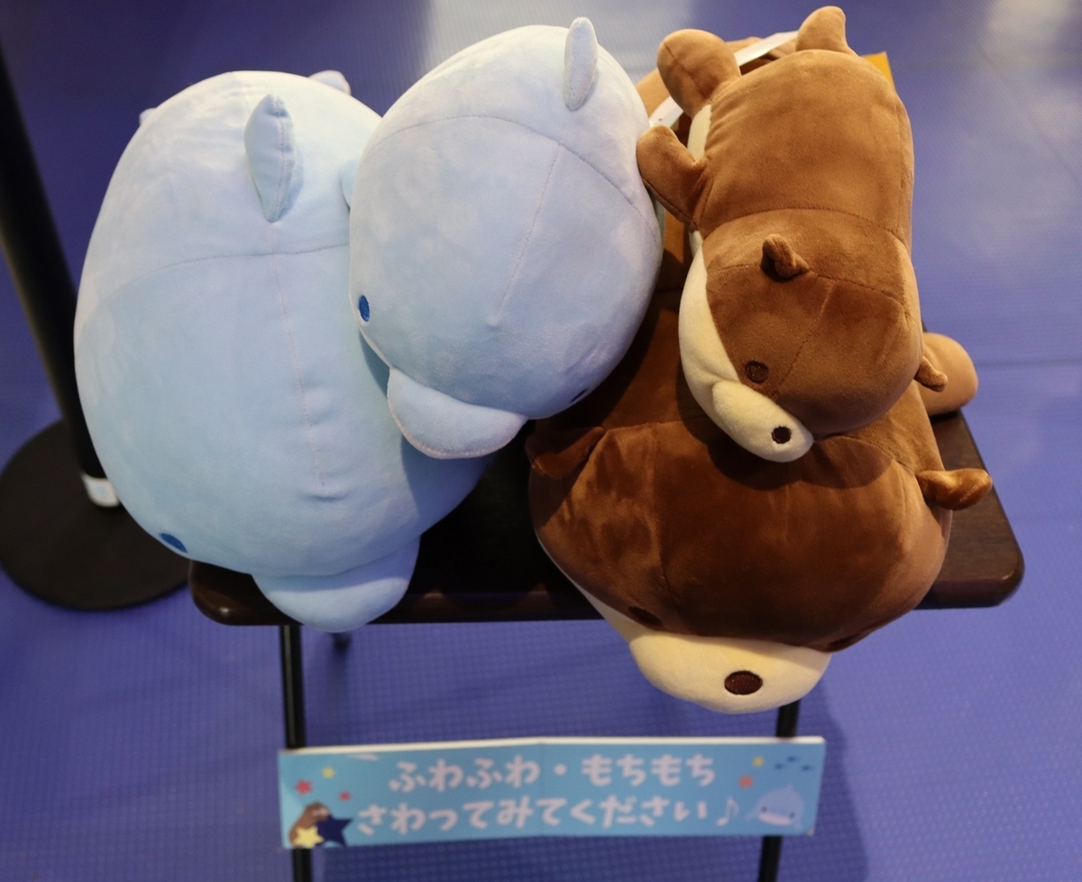 アクアワールド茨城県立大洗水族館 ロトイルカ・ロトカワウソ