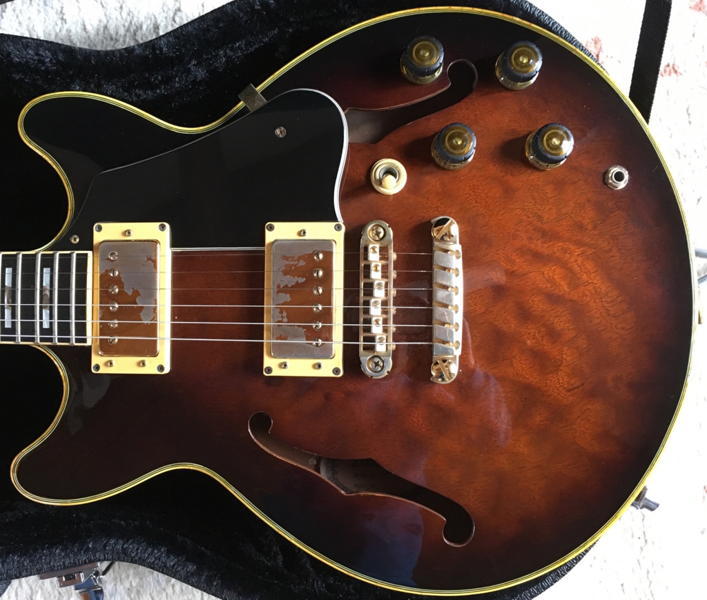 IbanezのAM-205を紹介 - らび、君を忘れない