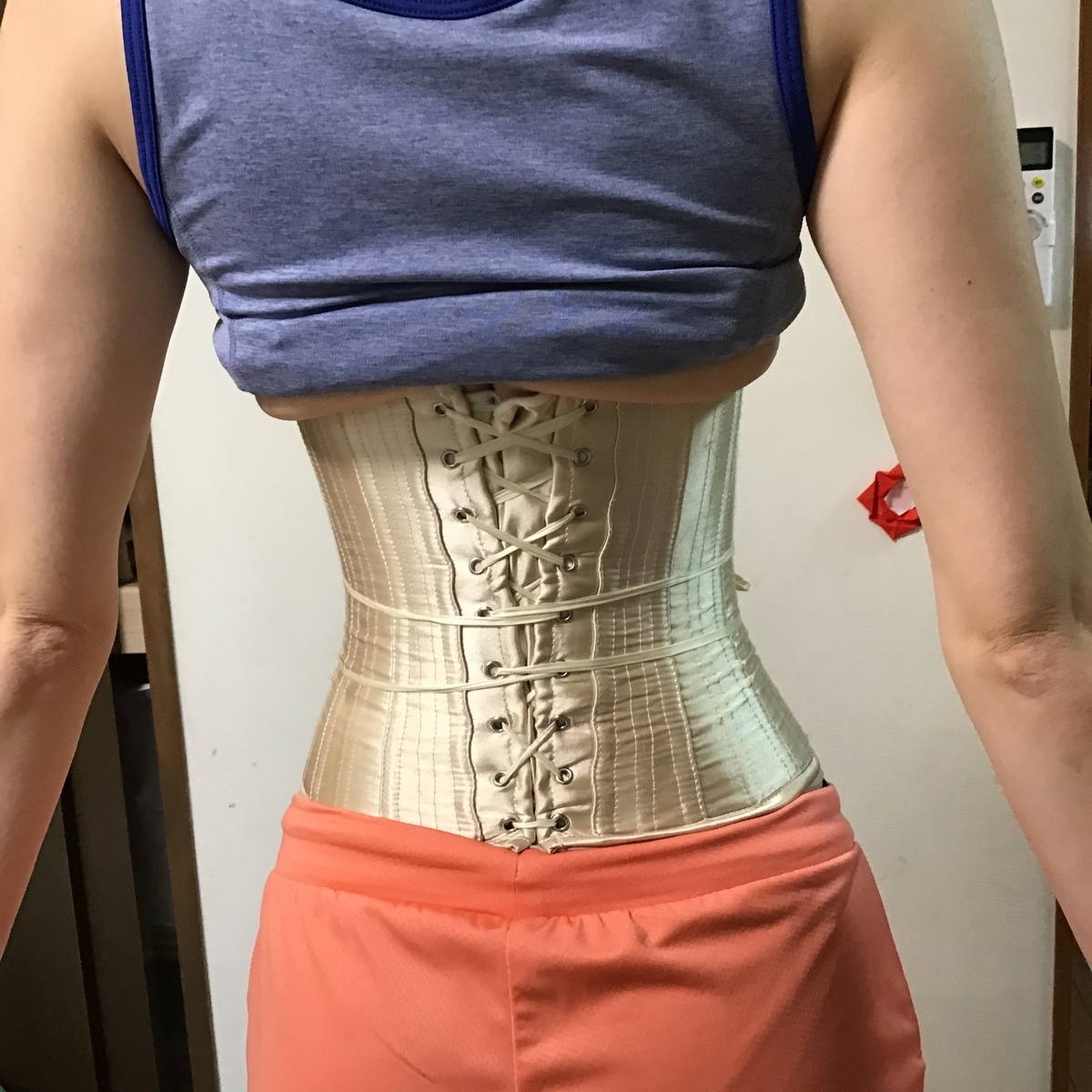 レビュー・写真あり】元鈴木さんのコルセットを試してみた効果と感想