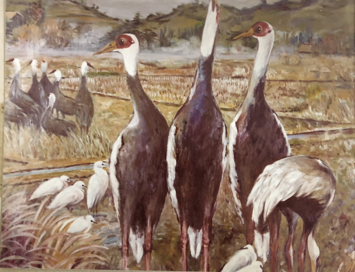 夢破れても筆折らず 生涯ツルを描き続けた孤高の画家・宮上松岳の絵に