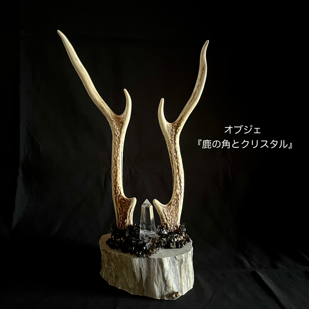 鹿の角でオブジェを作った - きたていっくのいつでも休憩中。その3