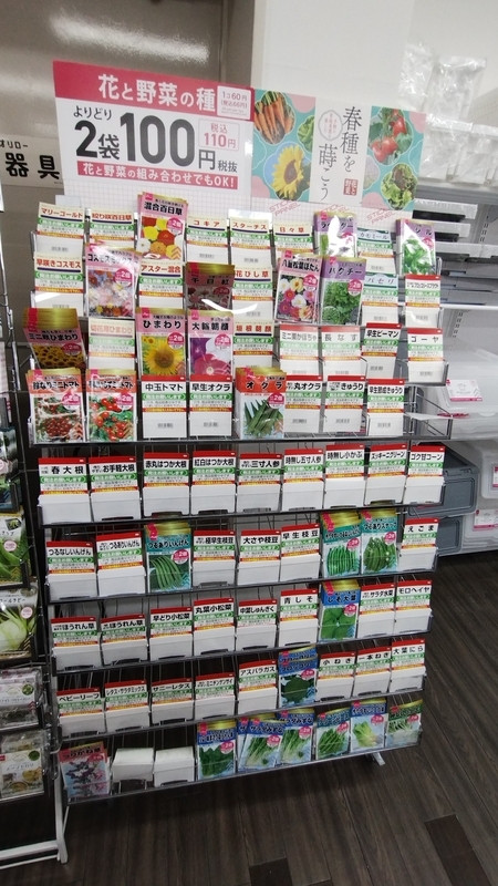 2025年 ダイソーの春種 販売開始 - 横浜家庭菜園研究所