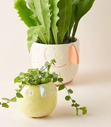 花瓶 Anthropologie(アンソロポロジー) インテリア雑貨(ライフスタイル