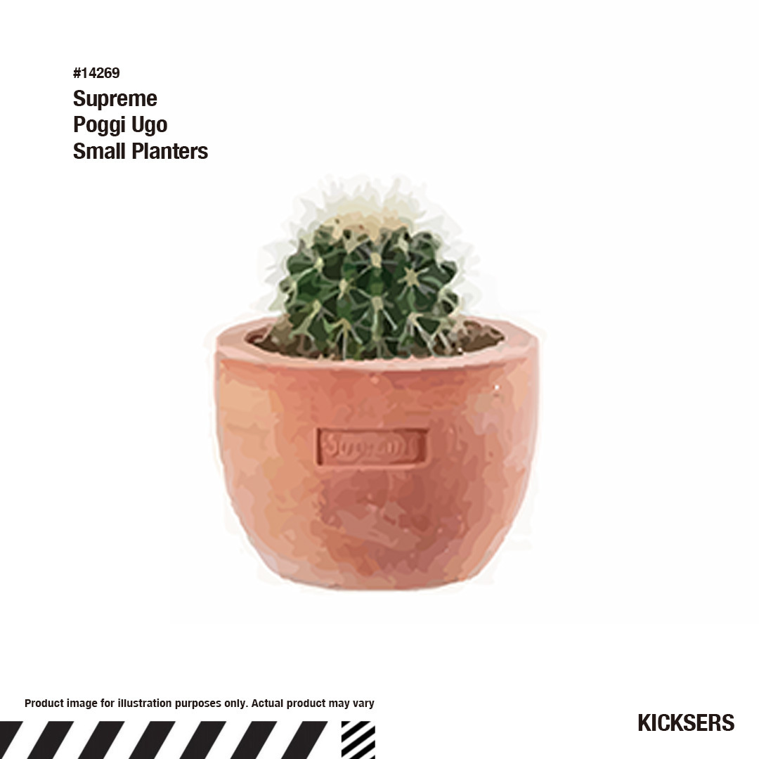 Supreme Poggi Ugo Small Planters シュプリーム 植物プランター