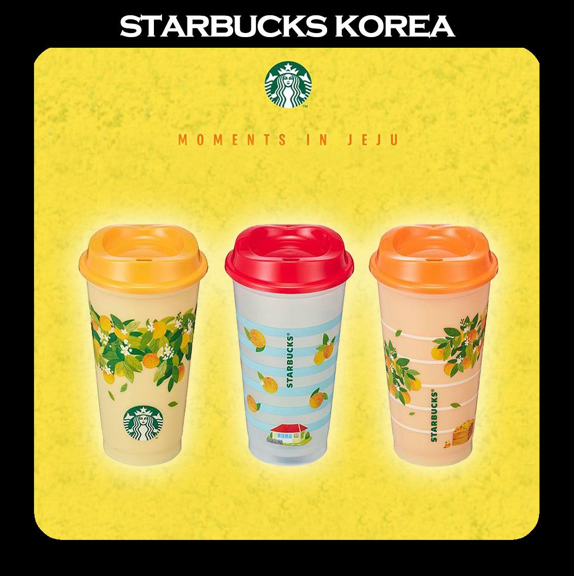韓国スタバ☆[JEJU MD] Jeju Reusable Cup Set 473ml 3p (Starbucks