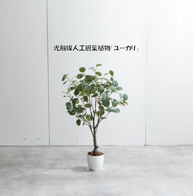 光触媒人工観葉植物ユーカリ 人工植物 フェイクグリーン（1275