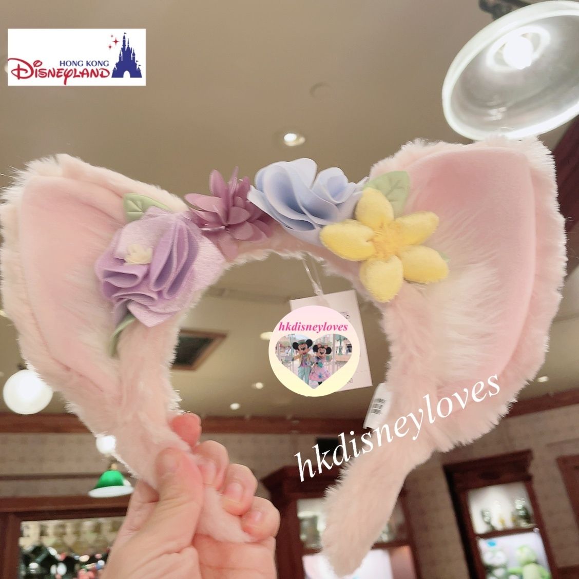香港ディズニー 香港 海外 ディズニー カスタム リーナベル