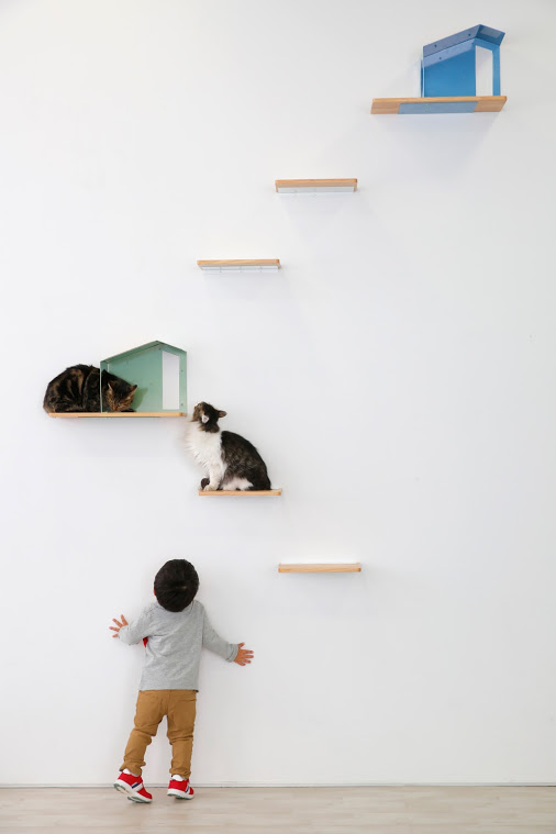壁を猫のくつろぎ空間にするキャットシェルフ | 日経クロステック（xTECH）