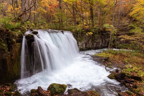 十和田湖・奥入瀬の紅葉＿2.十和田湖から奥入瀬渓流へ』奥入瀬・十和田