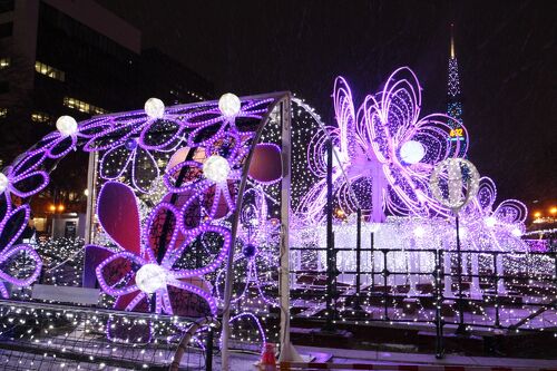 札幌ホワイトイルミネーション2022 吹雪の洗礼を受けて』札幌(北海道