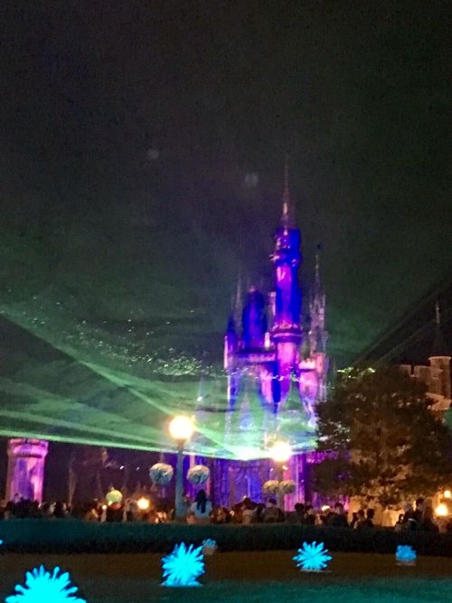 大人も楽しめるディズニーランド2017～夜の部』東京ディズニーリゾート