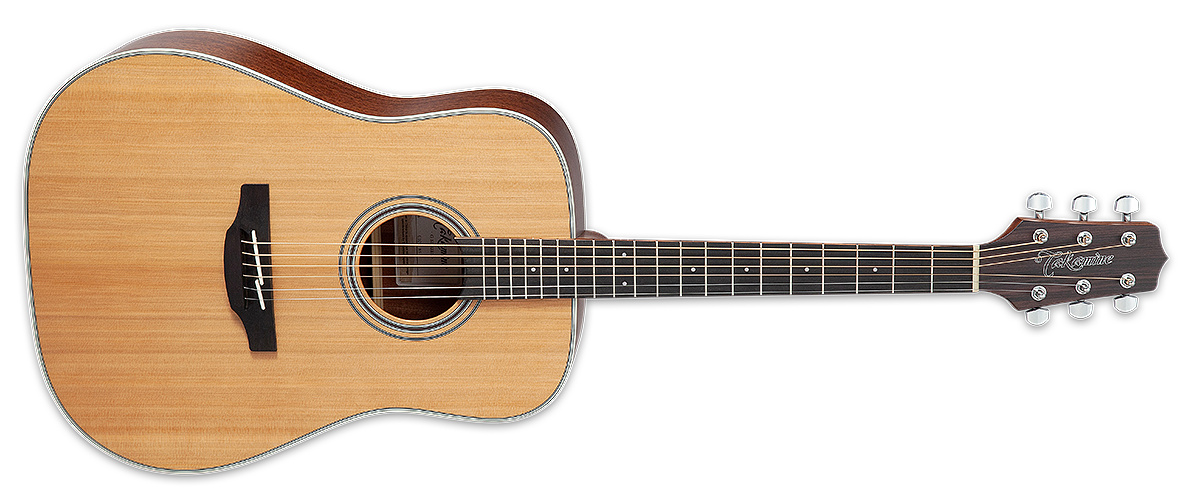 GD20 NS - Takamine