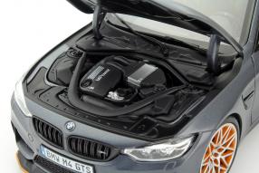 Minichamps provides the BMW M4 GTS from 1:18