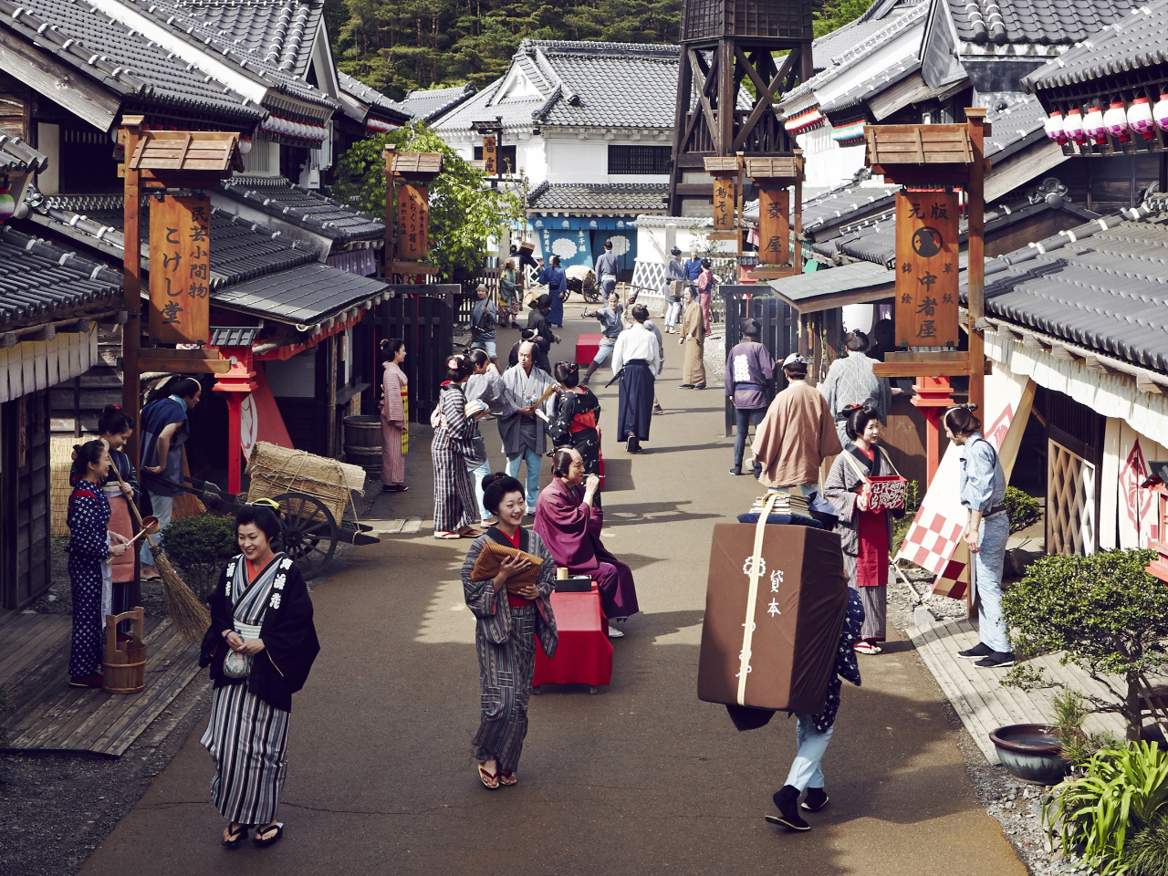 P000369456.jpg?v=1&size=