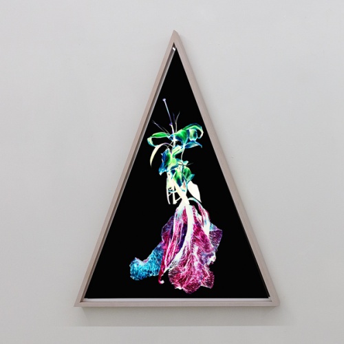 WITHERED FLOWERS REVERSE 』 - 過去の展覧会 | AKIO NAGASAWA