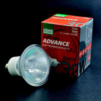 ハロゲン電球 110V用（ミラー付） 100W形広角（70径）（W