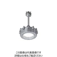 岩崎電気 岩崎 防爆形LED高天井照明器具 水銀400W相当 パイプ吊形 電線