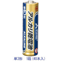 三菱電機 アルカリ乾電池 単3形 シュリンクなし紙箱包装 LR6N/B40 1箱