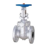 キッツ 鋳鉄製JIS規格ゲートバルブ5K 5 5FCM-125A 1個（直送品