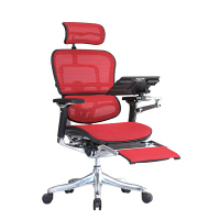 軒先渡し】 エルゴヒューマン プロ オットマン内蔵 オフィスチェア 3D