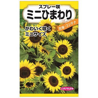 ニチノウのタネ スプレー咲ミニひまわり 日本農産種苗 4960599301581 1